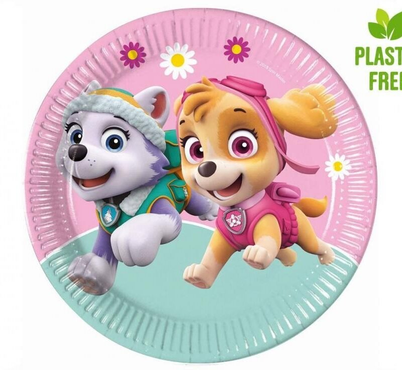 Popierinės lėkštutės PAW PATROL SKY & EVEREST
