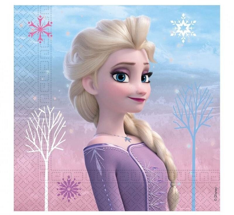 Popierinės servetėlės FROZEN