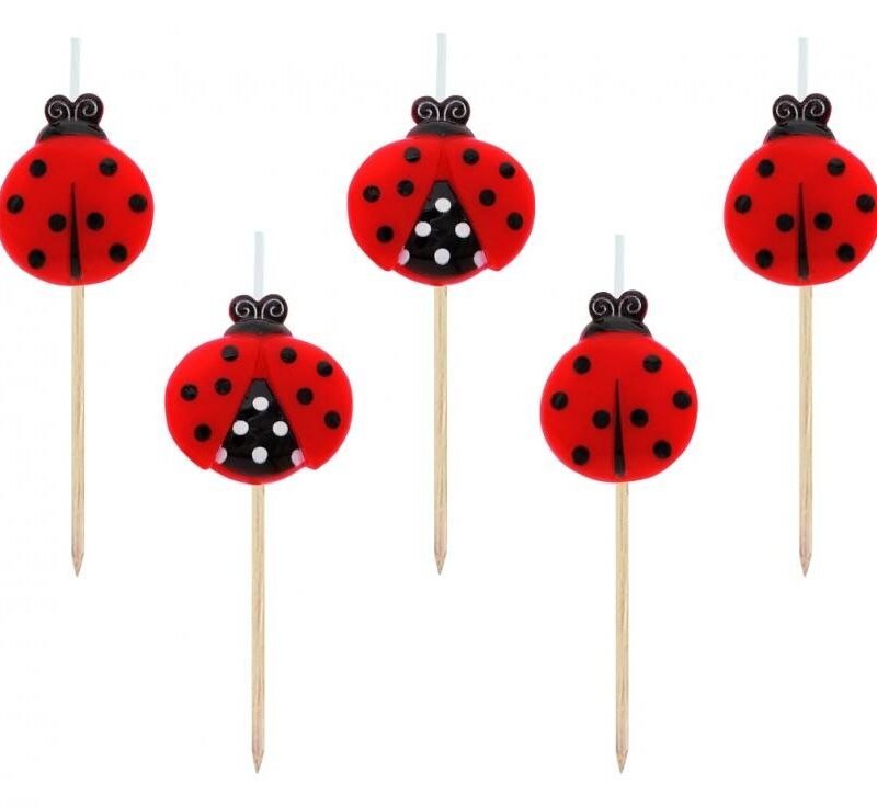 Gimtadienio žvakutės Ladybugs
