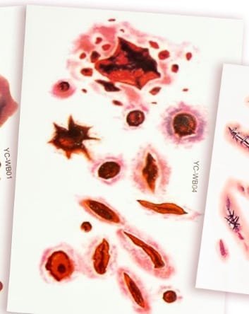 Laikinos tatuiruotės WOUNDS