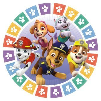 Popierinės lėkštutės PAW PATROL