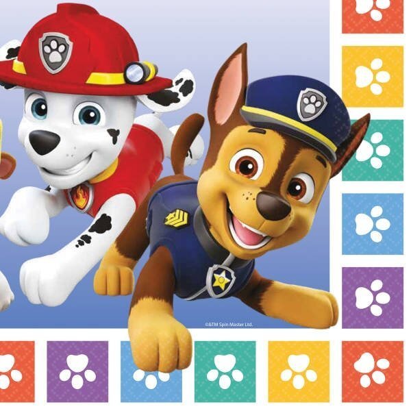Popierinės servetėlės PAW PATROL