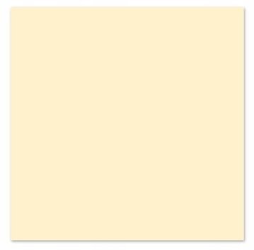 Popierinės servetėlės CREAM