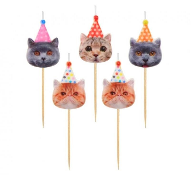Gimtadienio žvakutės CATS